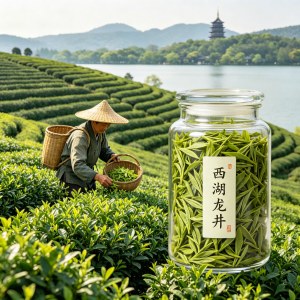 多品类混搭茶叶怎么挑，按需搭配适配多样饮用