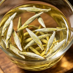 日常喝白茶怎么选茶，从外观分辨原料好坏