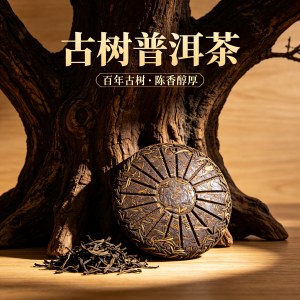 新手入门普洱怎么挑选，分清生熟适配日常饮用